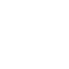 button-icon